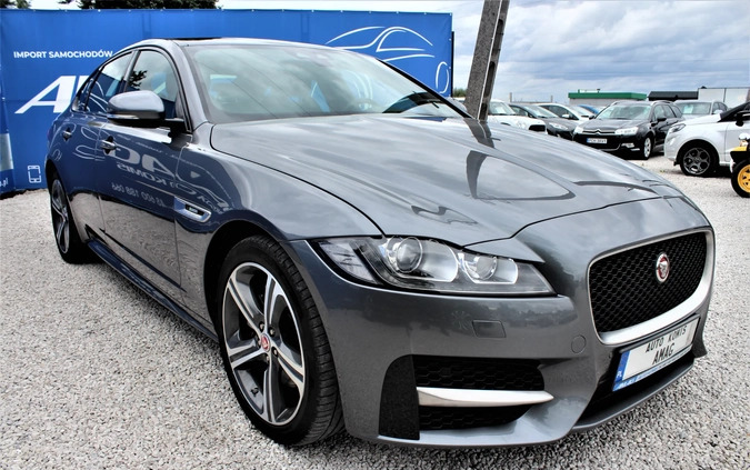 Jaguar XF cena 117800 przebieg: 22000, rok produkcji 2018 z Nowy Targ małe 529